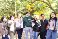 Du khách thích thú trải nghiệm tham quan, chụp ảnh mùa quả chín tại phường Chũ.