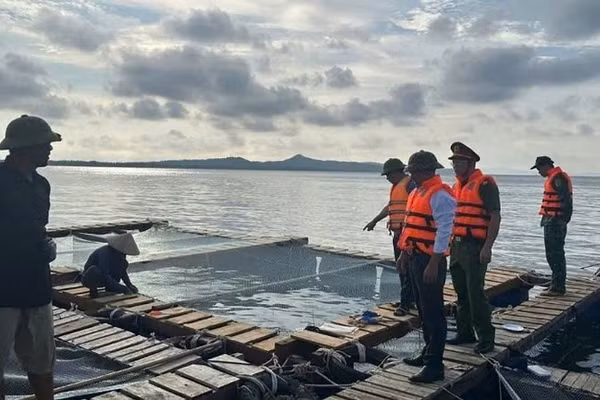 Lực lượng Công an và Bộ đội Biên phòng đặc khu Cô Tô (Quảng Ninh) hướng dẫn người dân gia cố lồng bè nuôi trồng trước khi bão số 9 đổ bộ. (Ảnh: QUANG THỌ)
