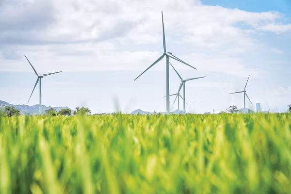 Sải bước tự do thương mại với các FTA thế hệ mới