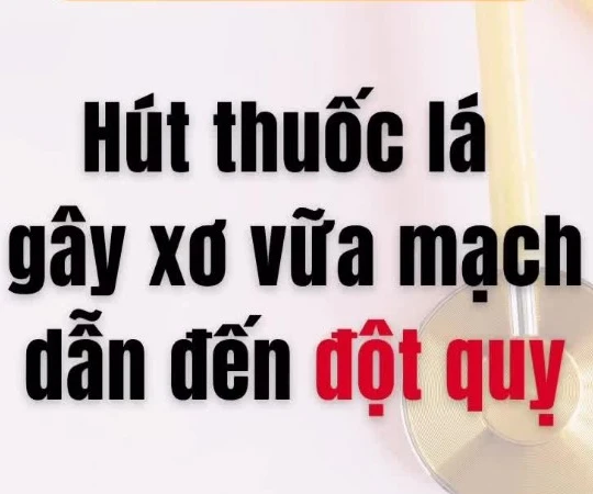 [Video] Hút thuốc lá gây xơ vữa mạch dẫn đến đột quỵ