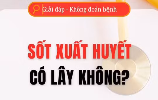 [Video] Sốt xuất huyết có lây từ người sang người?