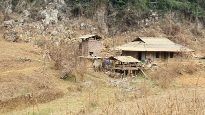 Vì sao độ che phủ rừng chưa xứng với vai trò "lá chắn" thiên tai?