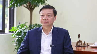 Rừng gỗ lớn - chuyển dịch tư duy từ trồng nhanh sang trồng bền