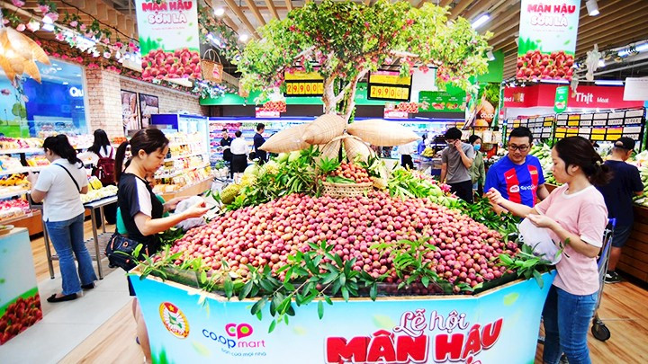 Người tiêu dùng với Lễ hội mận hậu Sơn La tại Saigon Co.op.