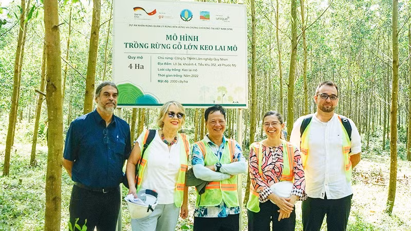 Tổ chức Hợp tác Phát triển Đức (GIZ) tham quan mô hình trồng rừng gỗ lớn trong dự án SFM của Công ty TNHH Lâm nghiệp Quy Nhơn (tỉnh Gia Lai). Ảnh: GIZ