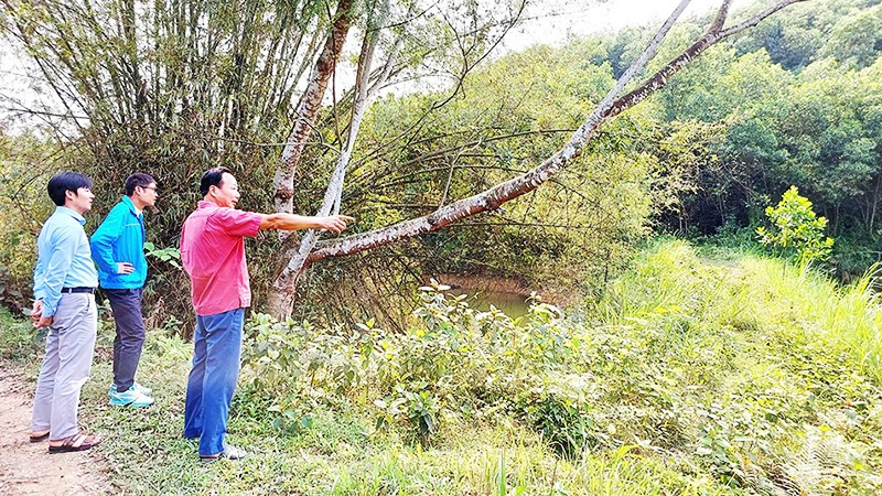 Tác giả bài viết và đoàn giáo viên đến tìm hiểu địa điểm di tích Căn cứ Đầm Đen. 141a.jpg