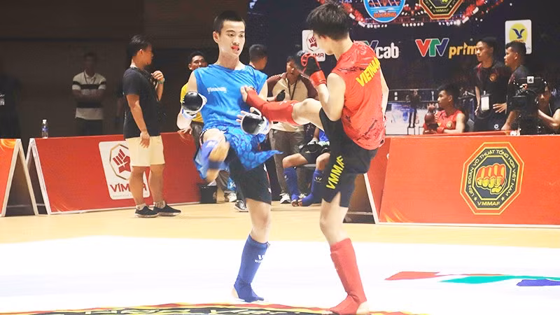 Các võ sĩ tranh tài tại Giải vô địch trẻ Võ thuật tổng hợp (MMA) quốc gia năm 2026.