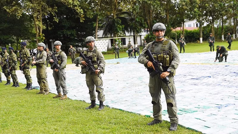Cảnh sát Colombia thu giữ lượng lớn ma túy sau một chiến dịch truy quét. Ảnh: NBC News