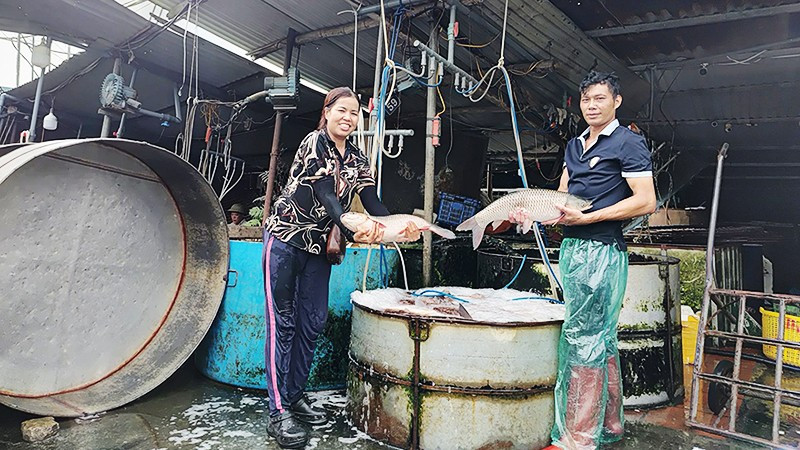 Anh Nguyễn Văn Tài (bên phải) nhiều năm gắn bó với chợ cá Yên Sở. 173.jpg