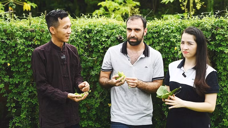 Anh Hoàng giới thiệu với khách nước ngoài về công dụng của quả mướp đắng rừng.