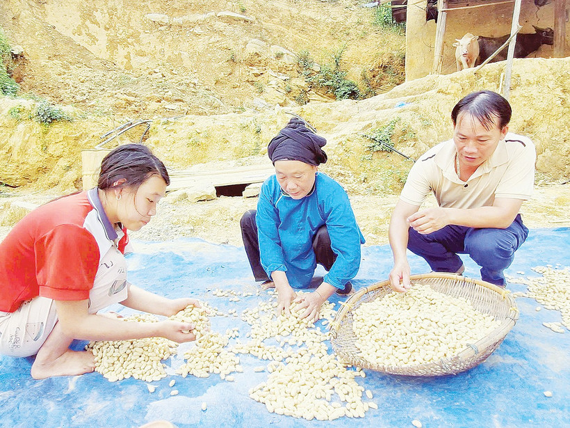Trưởng thôn Thền Văn Khương (ngoài cùng, bên phải) tích cực giúp bà con phát triển sinh kế bền vững.