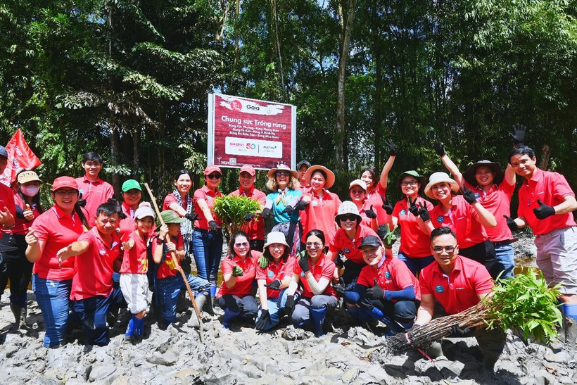 CADIVI trồng cây tràm nước tại Nông Trường Mùa Xuân (Cần Thơ).