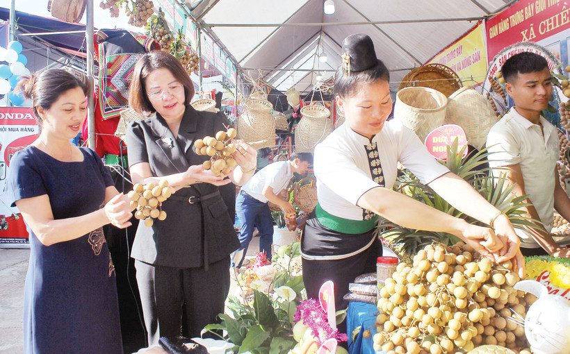 Thị trường chính của sản phẩm nhãn Sơn La là thị trường EU và Trung Quốc.