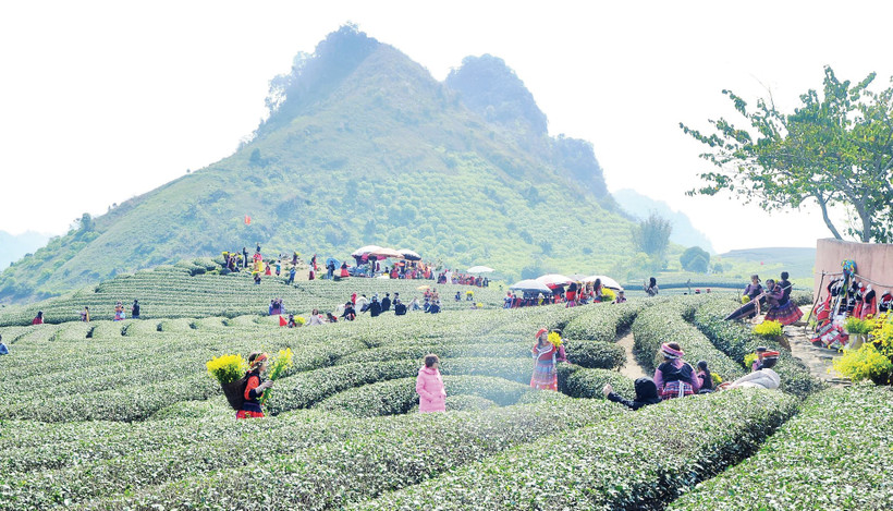 Bản làng giờ không chỉ an toàn hơn trước thiên tai, mà còn trở thành điểm đến sinh thái hấp dẫn. Ảnh: Nam Nguyễn