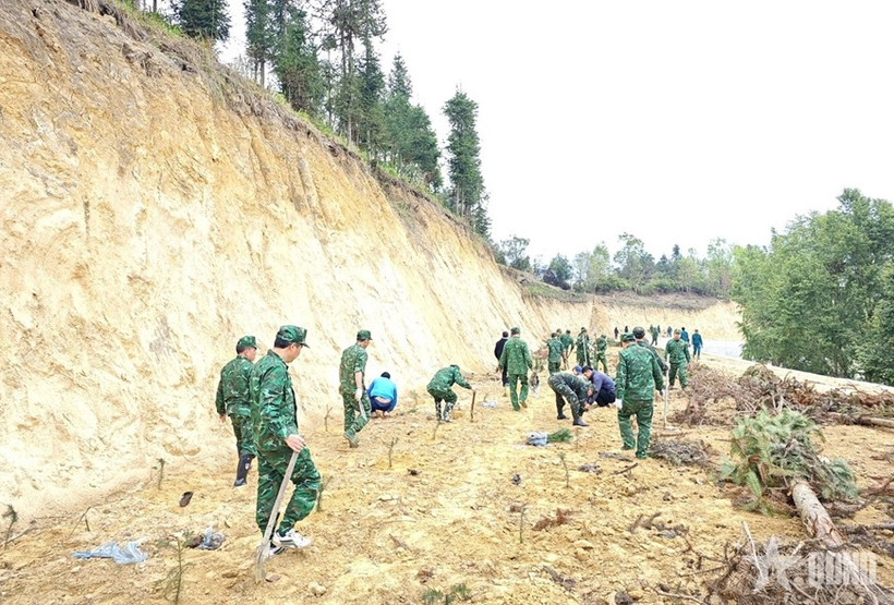 Cán bộ, chiến sĩ Đồn Biên phòng Bản Máy cùng nhân dân tham gia trồng 1.200 cây sa mộc xây dựng “Vành đai biên giới xanh”. 