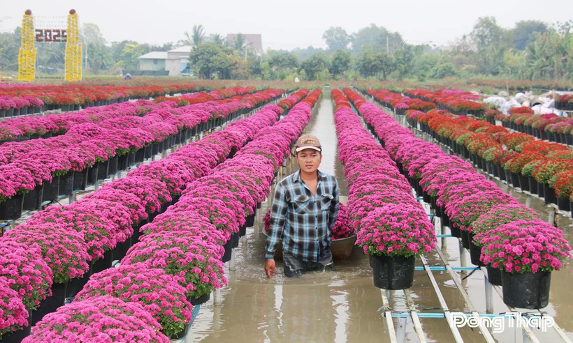 Mỗi dịp lễ, tết, Làng hoa Sa Đéc là điểm đến thu hút đông đảo du khách gần xa.