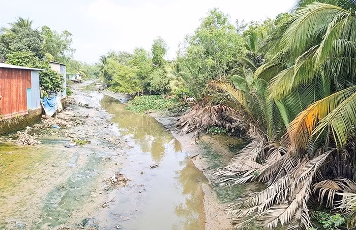 Nước trên kênh, rạch tại quận Bình Thủy, thành phố Cần Thơ đang xuống thấp.