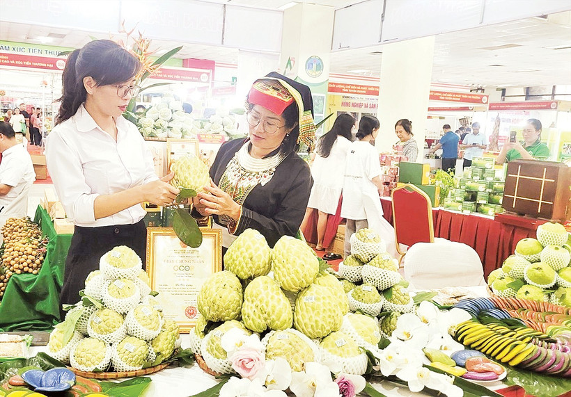 Sản phẩm na Chi Lăng, tỉnh Lạng Sơn, được quảng bá trong Phiên chợ nông sản, đặc sản vùng miền diễn ra tại Hà Nội.