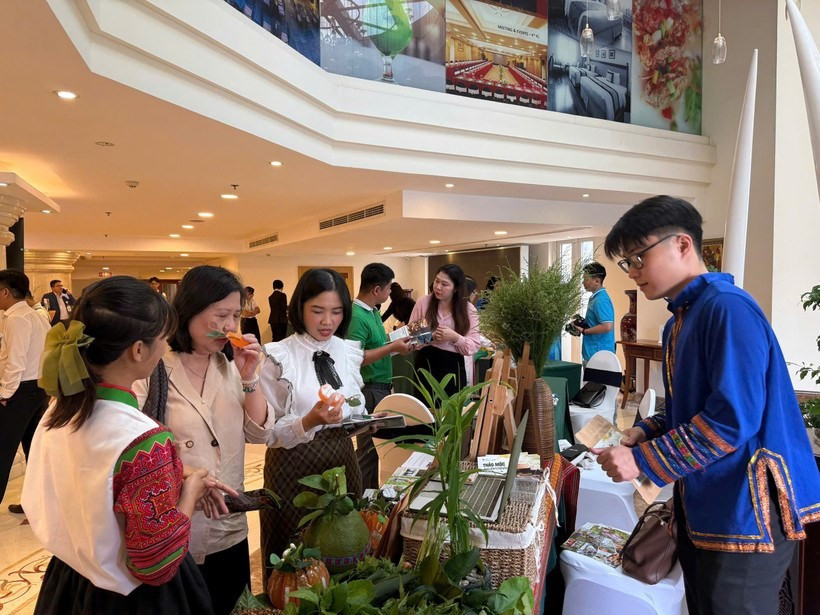 Khách tham quan tại Hội nghị quan tâm gian hàng giới thiệu du lịch y tế thông qua hình thức “chữa lành” từ các điểm du lịch tái tạo không gian Tây Bắc tại Thành phố Hồ Chí Minh.