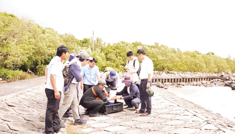 Đo cảm biến IoT năng lượng mặt trời giám sát mực nước, độ mặn ở Cà Mau. 