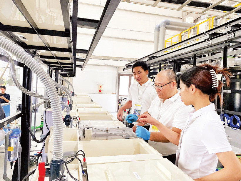 Chuỗi sản xuất linh kiện hàng không “Made in Vietnam”, tiêu chuẩn Nhật Bản của Công ty Onaga tại Hà Nội. Nguồn: HANSIBA