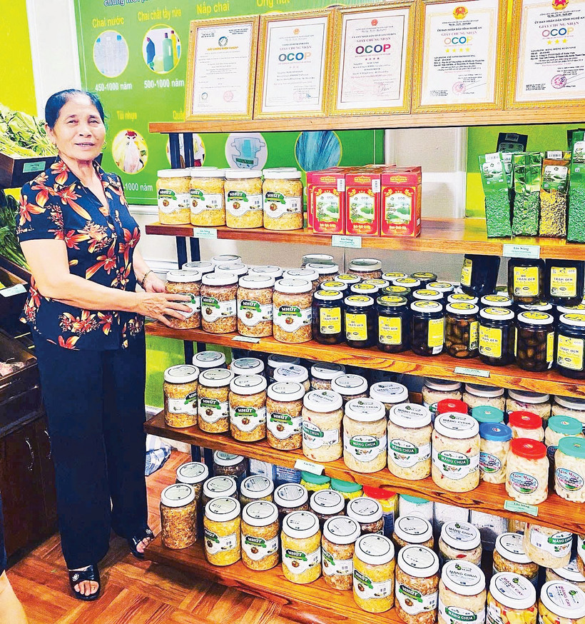 Bà Hồ Thị Quế và sản phẩm nhút Thanh Chương.