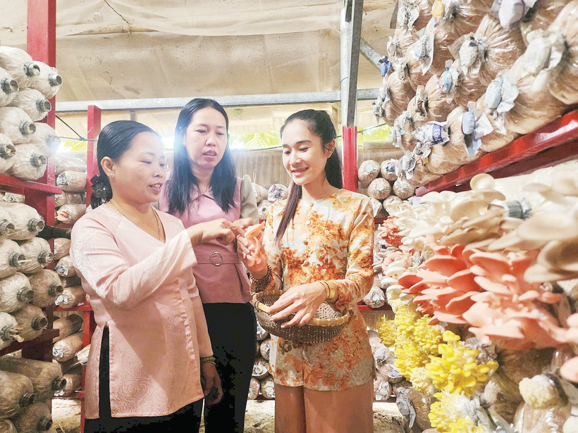 Cán bộ Hội Liên hiệp Phụ nữ tỉnh Vĩnh Long đến thăm mô hình trồng nấm của chị Ánh Xuân (ngoài cùng bên phải).