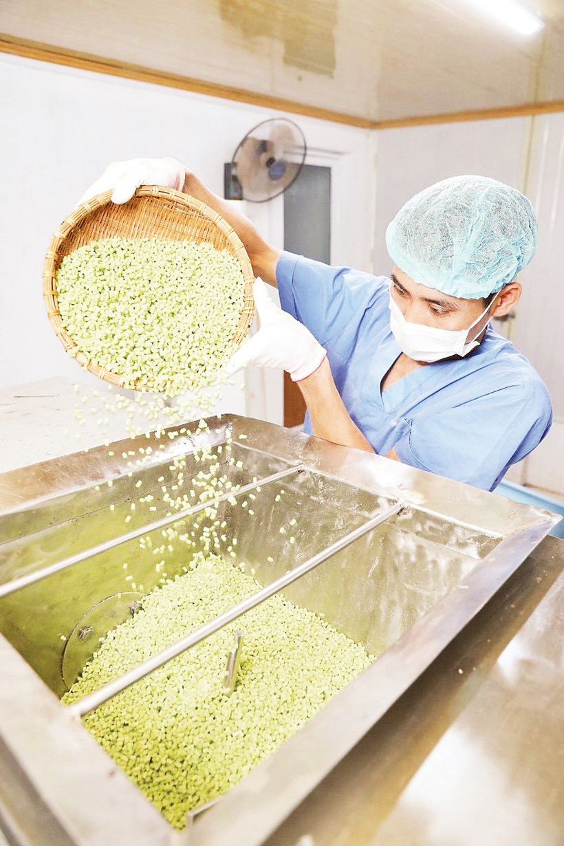 Dây chuyền sản xuất tại HTX Dịch vụ nông nghiệp sông Hồng.