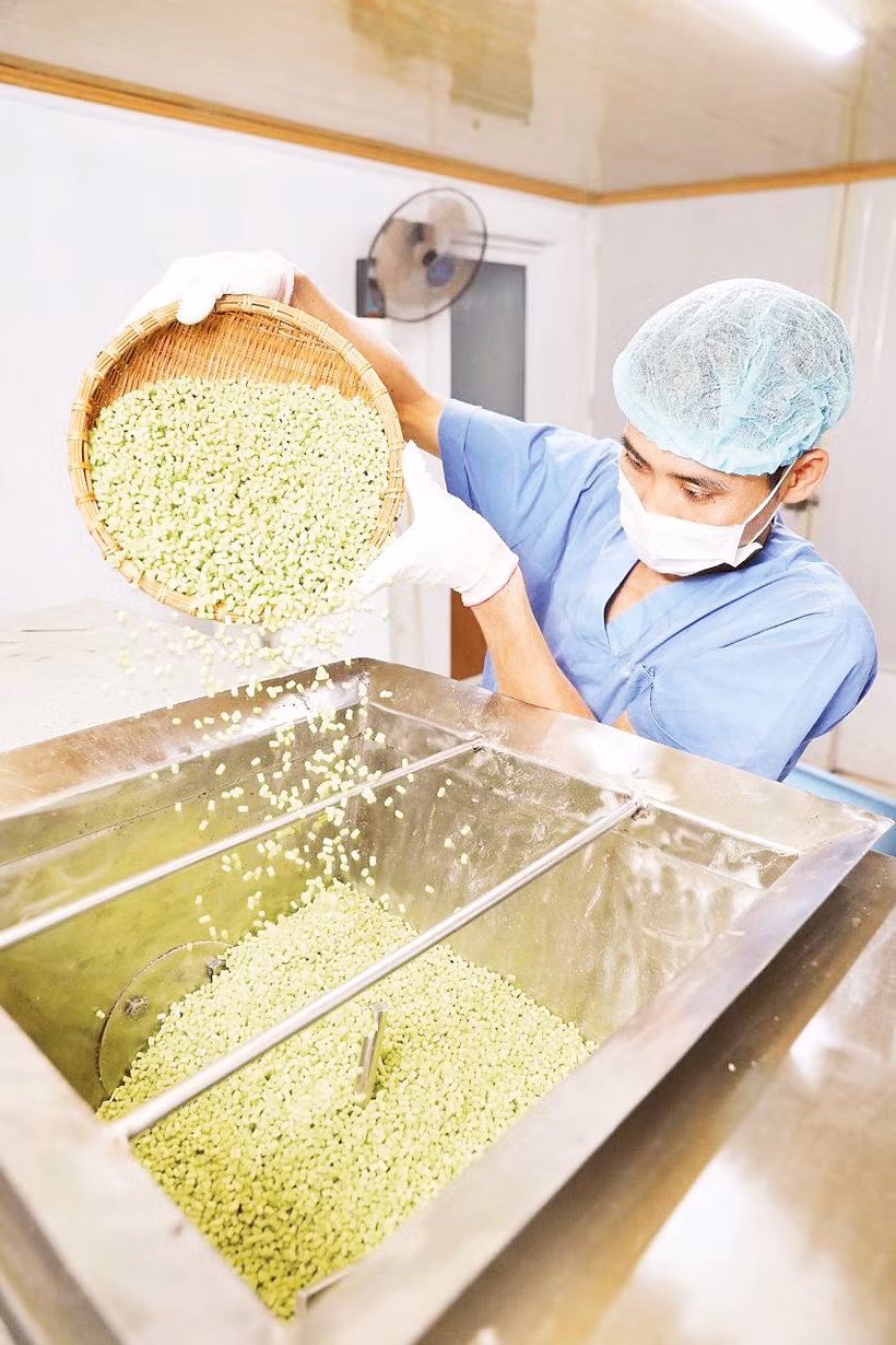 Dây chuyền sản xuất tại HTX Dịch vụ nông nghiệp sông Hồng.