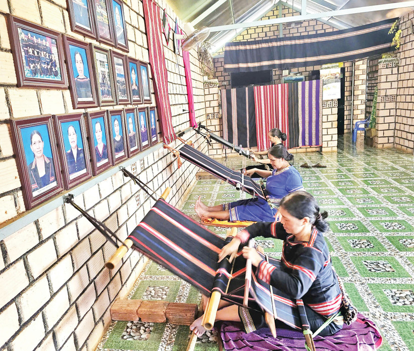 Các nghệ nhân Câu lạc bộ dệt thổ cẩm làng Phung cần mẫn bên khung cửi.