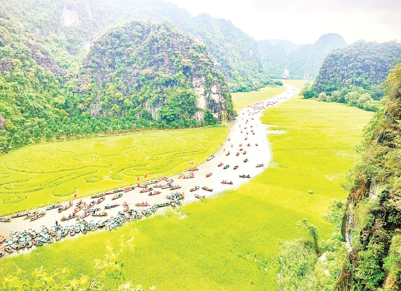 Rực rỡ Lễ hội Sắc vàng Tam Cốc 2025.