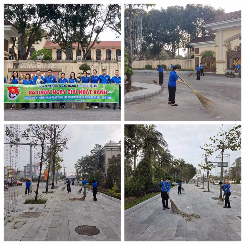 Chi đoàn Cơ quan Tỉnh ủy và Chi đoàn Cơ quan Đảng ủy các cơ quan Đảng tỉnh ra quân Ngày chủ nhật Xanh tại đoạn đường trước cổng Cơ quan Tỉnh ủy