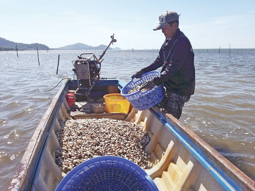 Ứng dụng kỹ thuật mới trong nuôi trồng thủy sản giúp đem lại hiệu quả kinh tế cao cho nông dân Tô Châu (An Giang).