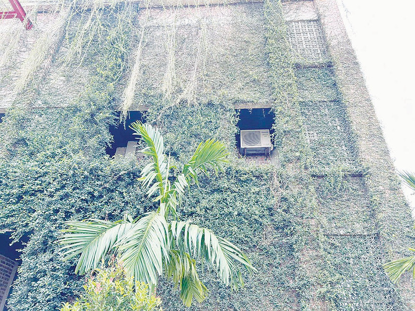 Các công trình trong nhà máy không trát, không sơn, phủ xanh bằng cây để giảm hấp thụ nhiệt.