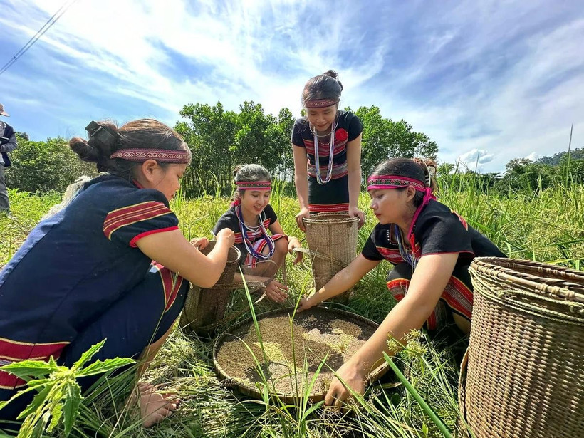 Việc ban hành chính sách đất đai dành riêng cho đồng bào dân tộc thiểu số tại Đà Nẵng sau sáp nhập là cần thiết.