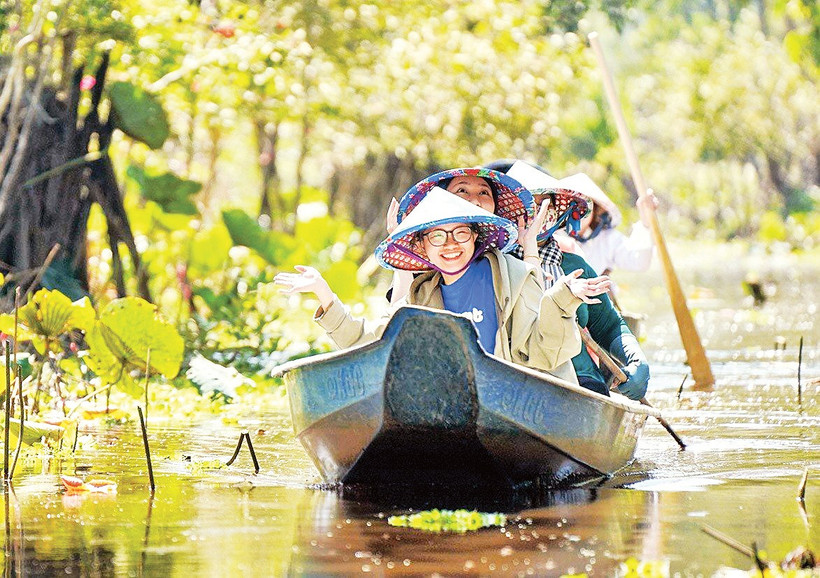 Rừng tràm Trà Sư (An Giang) thu hút du khách trong nước và quốc tế.
