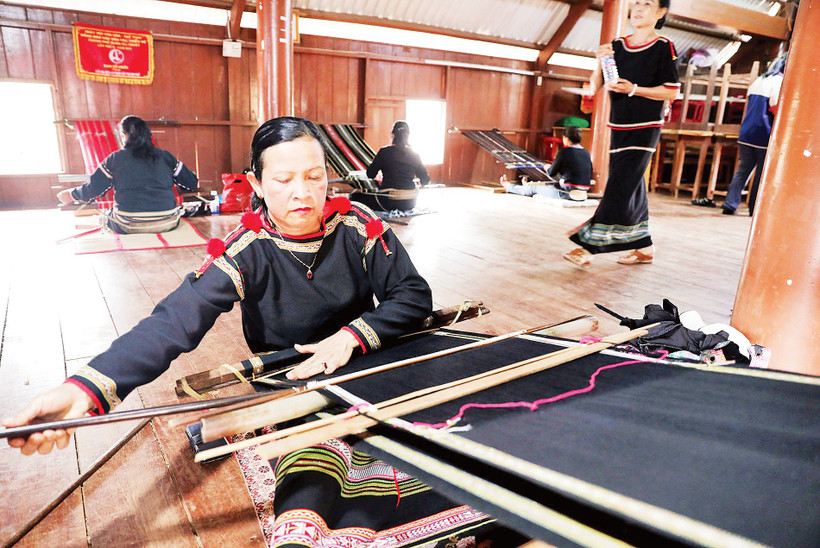 Phụ nữ Tây Nguyên không chỉ giữ vai trò trong gia đình mà đang trở thành lực lượng kinh tế quan trọng. Ảnh: Khiếu Minh