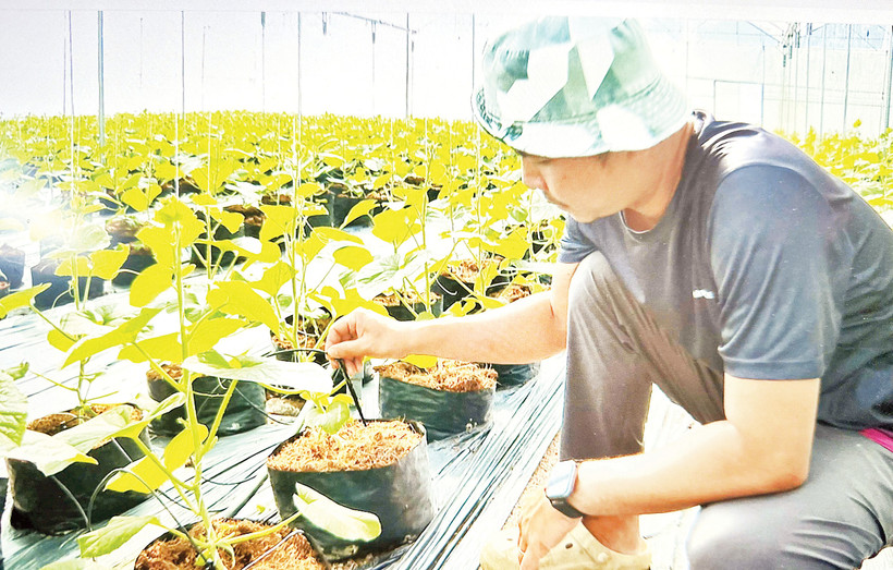 Tỉnh Đồng Nai xây dựng thành công nhiều mô hình nông nghiệp xanh. 