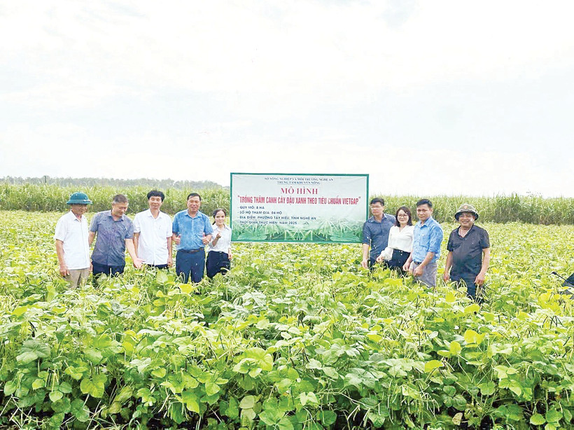 Nguyên tắc quan trọng nhất là phải tìm được đầu ra và ký kết bao tiêu sản phẩm trước khi tổ chức sản xuất. 