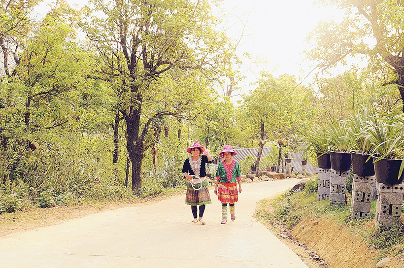 Thiếu nữ người H’Mông trong không gian thanh sạch của Sin Suối Hồ.