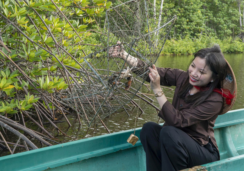 Tham gia Ngày hội Cua Cà Mau, du khách sẽ được trải nghiệm dỡ lợp cua tại các khu du lịch cộng đồng.