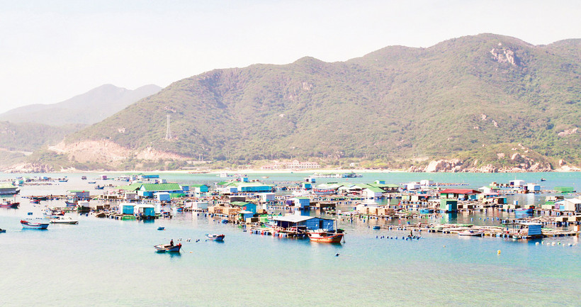 Đường bờ biển dài 192 km là nền tảng để Lâm Đồng mở hướng phát triển thủy sản. Ảnh: Khiếu Minh