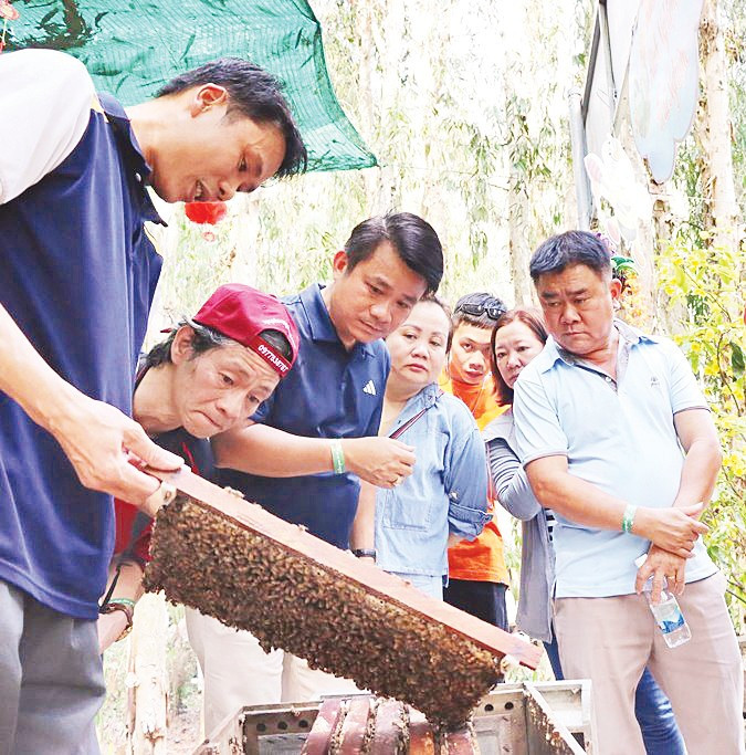 Du khách tham quan mô hình nuôi ong. Ảnh: LƯU MỸ