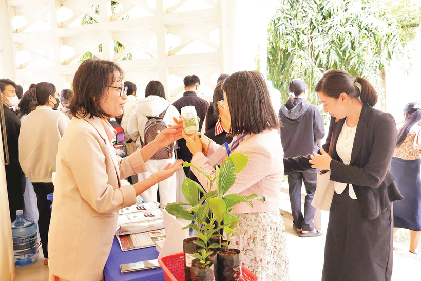 Hợp tác chính là chìa khóa để bảo vệ và thúc đẩy ngành cà- phê Việt Nam phát triển bền vững. Ảnh: Aus4Innovation