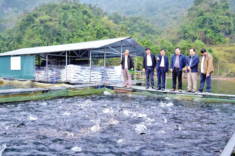 Cán bộ địa phương thăm, nắm bắt tình hình hoạt động của các hộ nuôi cá lồng trên hồ Na Hang.