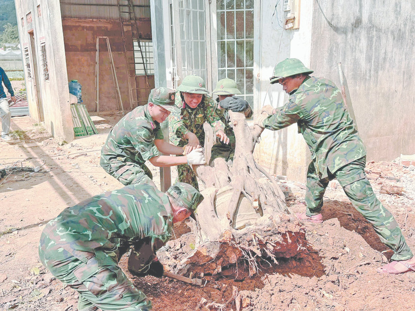 Cán bộ, chiến sĩ sửa nhà giúp dân.