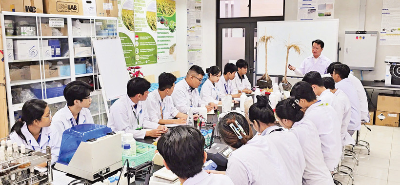 PGS, TS Nguyễn Khởi Nghĩa hướng dẫn sinh viên tham gia nghiên cứu dự án.