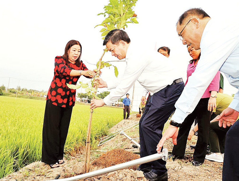 Hoạt động Tết trồng cây được tổ chức tại thành phố Cần Thơ ngày 23/2. 