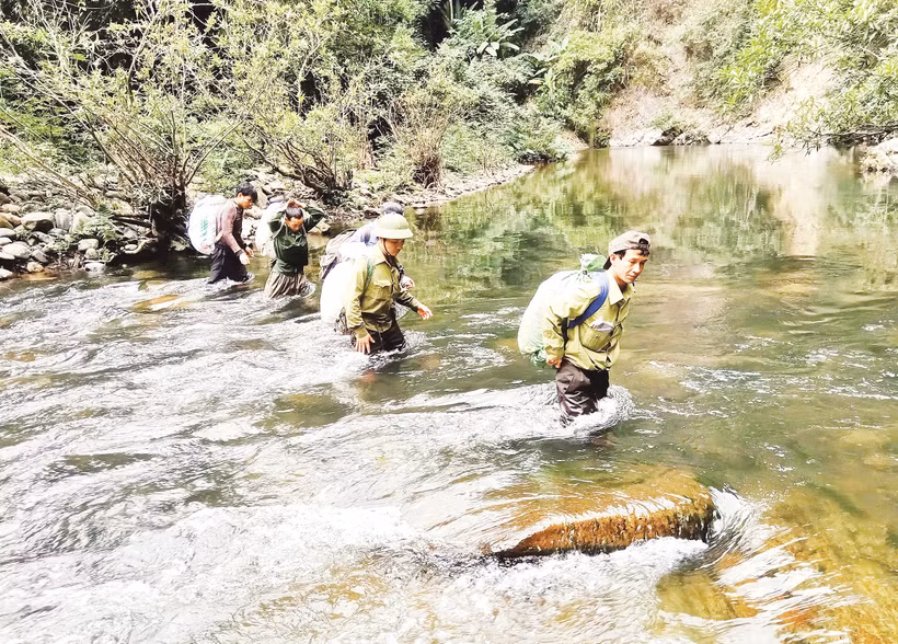 Lực lượng chức năng tuần tra, bảo vệ rừng ở Vườn quốc gia Pù Mát, Nghệ An.
