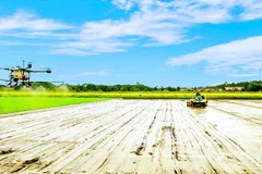 Bà con nông dân thành phố Cần Thơ ứng dụng công nghệ cao vào sản xuất. (Ảnh: nhandan.vn)